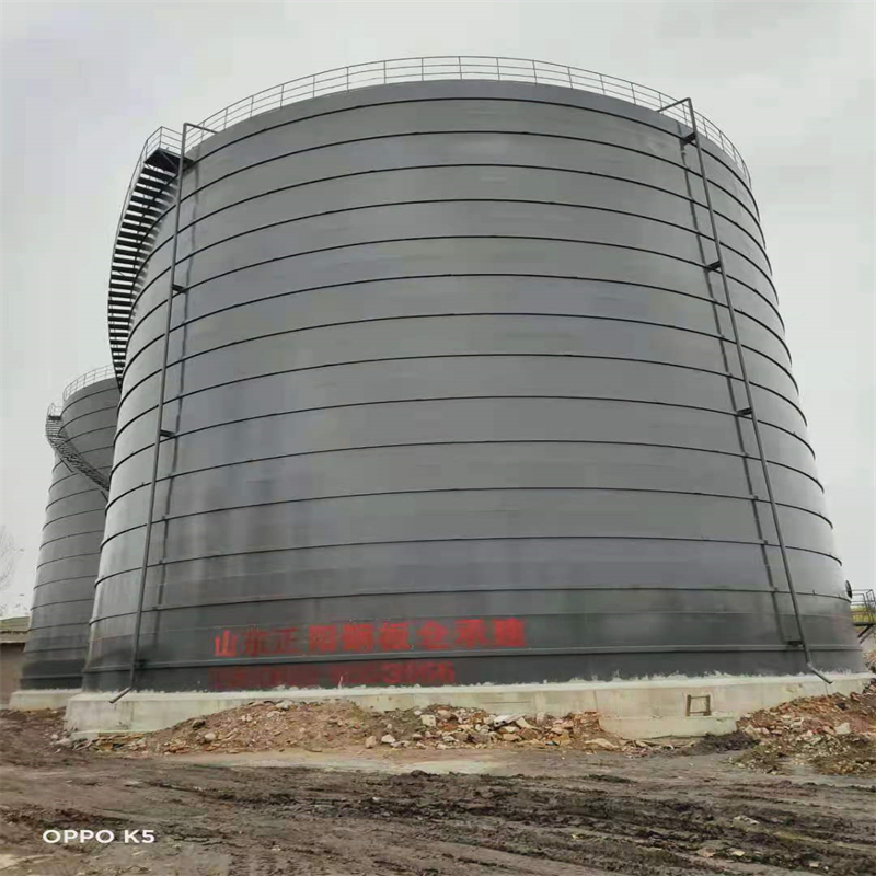 熊口管理区3万吨大型钢板库