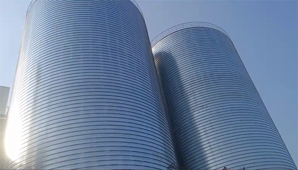 熊口管理区2座混凝土高架卷板仓